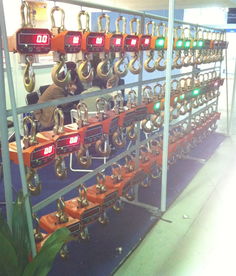 海南電子吊秤與鉤頭秤 高精度稱(chēng)重解決方案，廠(chǎng)家直銷(xiāo)更省心